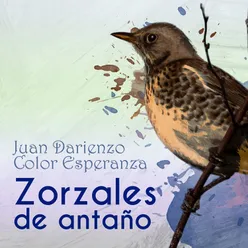 Zorzales de Antaño - Juan Darienzo - Color Esperanza
