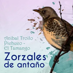 Zorzales De Antaño - Anibal Troilo Pichuco - El Tamango