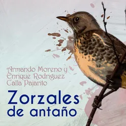 Zorzales de Antaño - Armando Moreno - Calla Pajarito