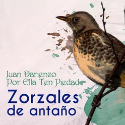 Zorzales de Antaño - Juan Darienzo - Por Ella Ten Piedad