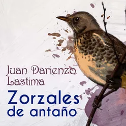 Zorzales de Antaño - Juan Darienzo - Lastima