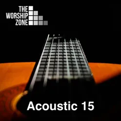 Acoustic 15