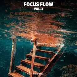 Focus Flow, Vol. 3