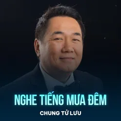 Nghe Tiếng Mưa Đêm