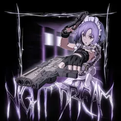 Night Dream
