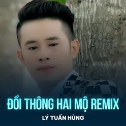 Đồi Thông Hai Mộ (Remix)