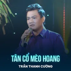 Tân Cổ Mèo Hoang