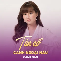 Tân Cổ Canh Ngoại Nấu