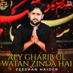 Aey Gharib Ul Watan Zinda Hai, Vol. 2014