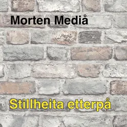 Stillheita etterpå