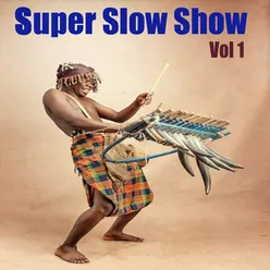 Super Slow Show,Vol. 1