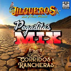 Corridos y Rancheras (Pegaditas Mix)