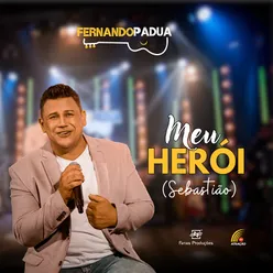 Meu Herói