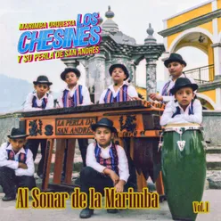 Al Sonar de La Marimba, Vol. 1