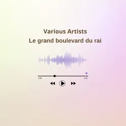 Le grand boulevard du rai