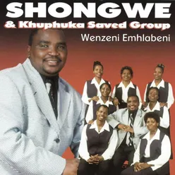 Wenzeni Emhlabeni