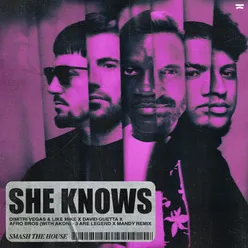 She Knows (with Akon) (3 Are Legend x MANDY Remix)