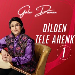 Dilden Tele Ahenk 1