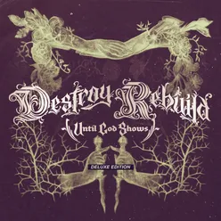 DESTROY REBUILD (Deluxe Edition)
