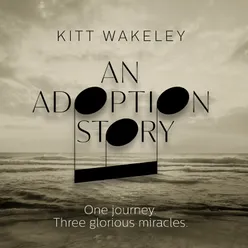 An Adoption Story. One Journey. Three Glorious Miracles