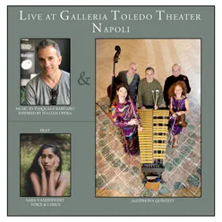 Live at The Galleria Toledo Theatre Napoli (feat. Sara Vanderwert)