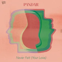 Never Felt (Your Love)