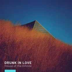 Drunk In Love