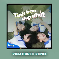 Tình Bạn Đẹp Nhất (Vinahouse Remix)