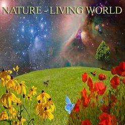 Nature - Living World