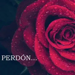 Perdón…