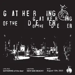 alone(GATHERING of the Deer 2023) [Live at NEW SIDE BEACH!! ]