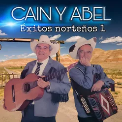 Éxitos Norteños 1