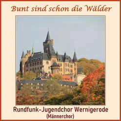 Bunt sind schon die Wälder