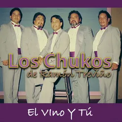 El Vino y Tú