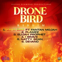 Drone Bird Riddim