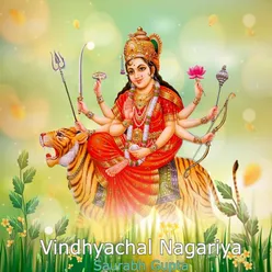 Vindhyachal Nagariya