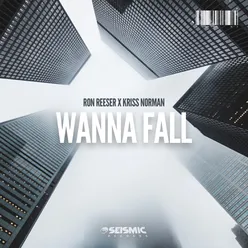 Wanna Fall (Extended Mix)