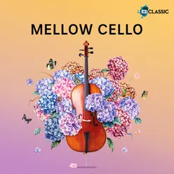 Cello Concerto in E Minor, Op. 85: III. Adagio