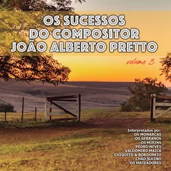 Os Sucessos do Compositor João Alberto Pretto, Vol. 3