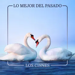 Lo Mejor del Pasado - Los cisnes