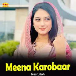 Meena Karobaar