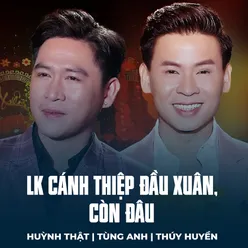 LK Cánh Thiệp Đầu Xuân, Còn Đâu