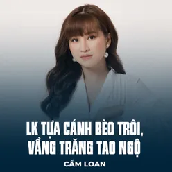 LK Tựa Cánh Bèo Trôi, Vầng Trăng Tao Ngộ