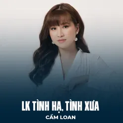 LK Tình Hạ, Tình Xưa