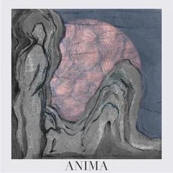 Anima