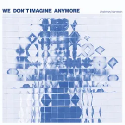 We Don't Imagine Anymore