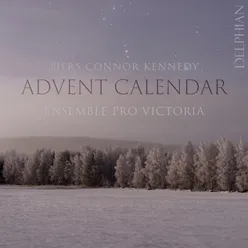 Piers Connor Kennedy: Advent Calendar