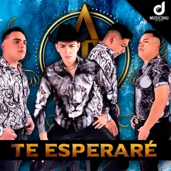 Te Esperaré