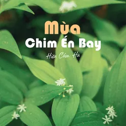 Mùa Chim Én Bay