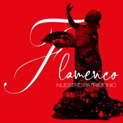 Flamenco Nuestro Patrimonio